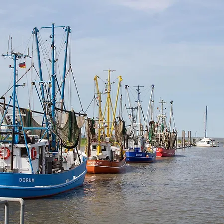 Wittsand 12 ドルム・ノイフェルト