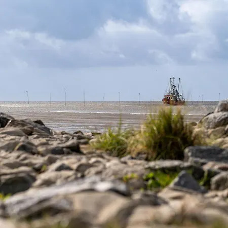 Wittsand 12 Holiday home *