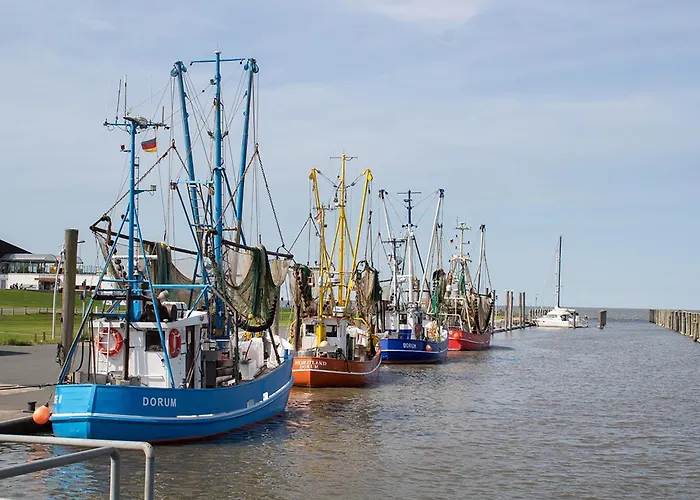 Wittsand 12 دورم نيوفيلد