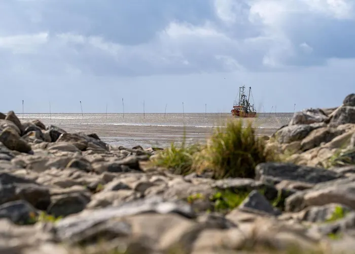 Wittsand 12 بيت للعطل *