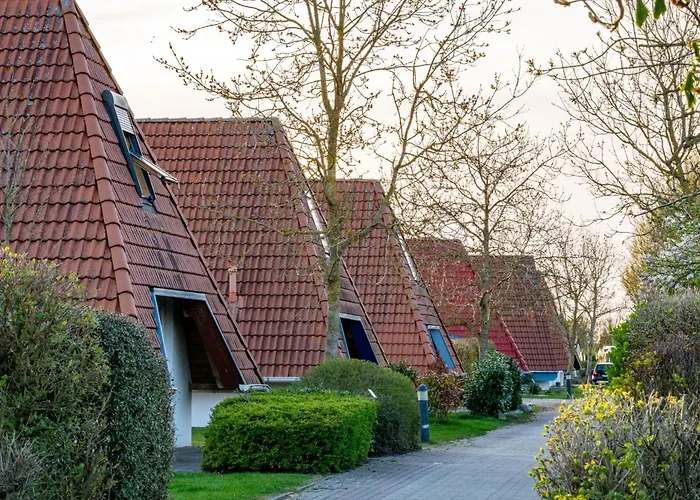 Wittsand 12 دورم نيوفيلد